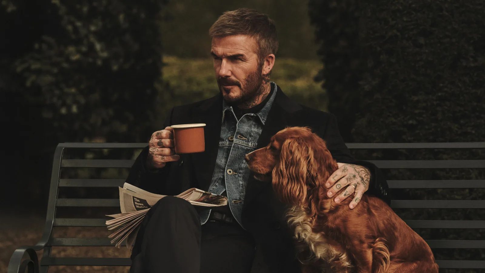 BOSS by Beckham de HUGO BOSS: David Beckham con chaqueta vaquera y un spaniel en un banco de jardín